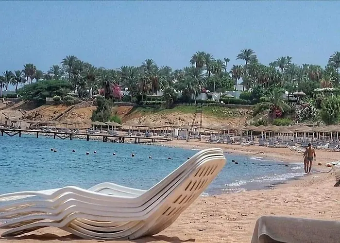 Apartment Di Lusso Con Terrazzo Vista Mare